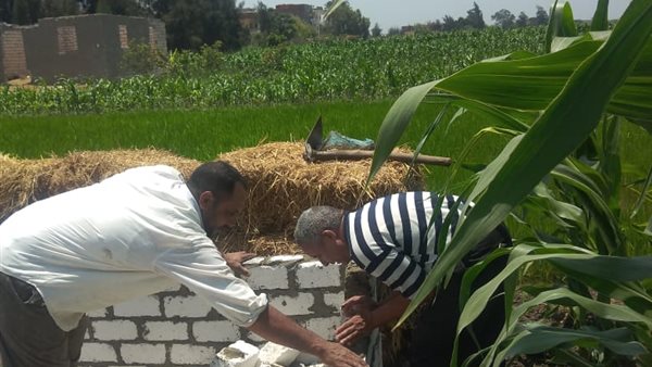 جانب من اعمال الازالة