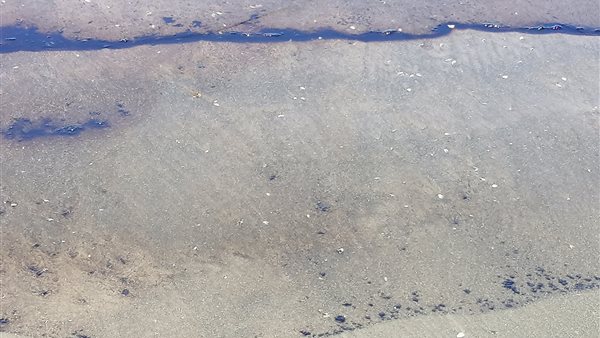 بقعة الزيت ببورسعيد