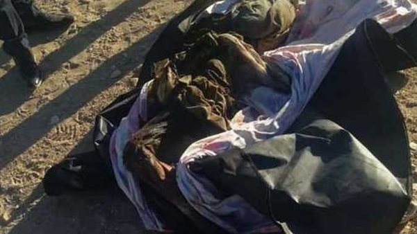 صورة ارشيفيه