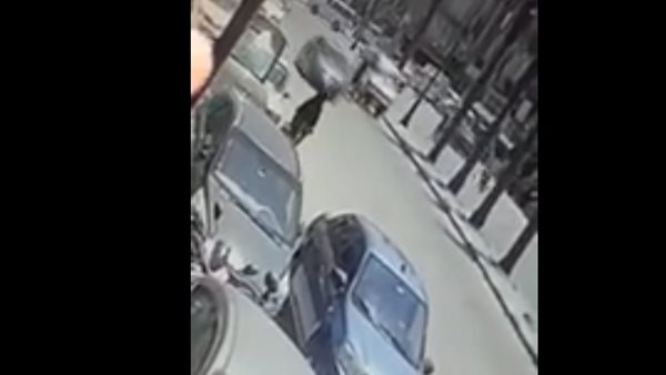 صورة من الحدث