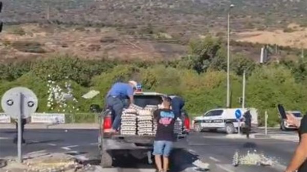 المزارعون يلقون البيض