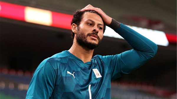 محمد الشناوي 