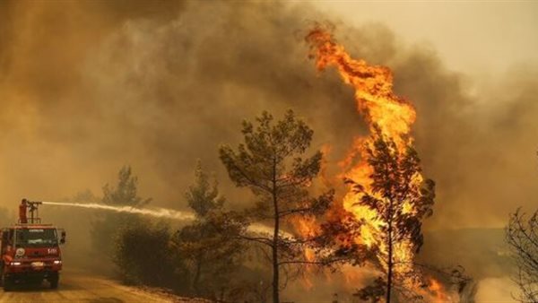 صورة أرشيفية