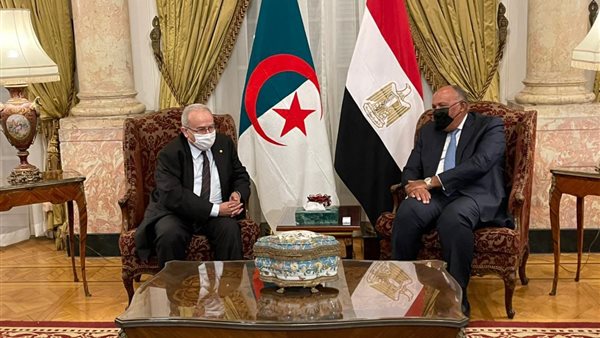 وزير الخارجية ونظيره