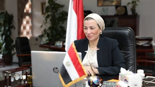 ياسمين فؤاد وزيرة