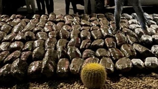 صورة من الحدث 