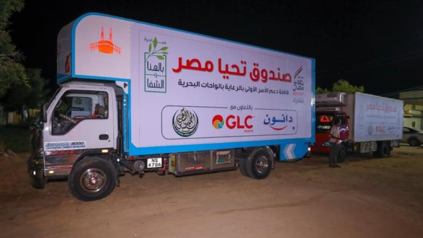 صندوق تحيا مصر 