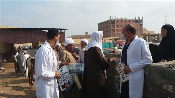 جانب من الحملات 