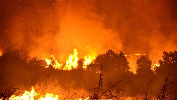 حريق غابات بلغاريا