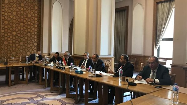 وفد وزارة الخارجية