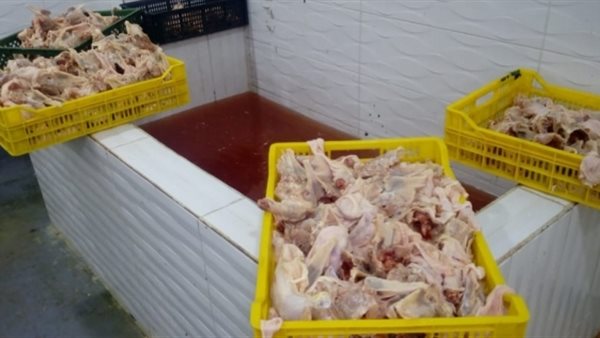 صورة ارشيفية