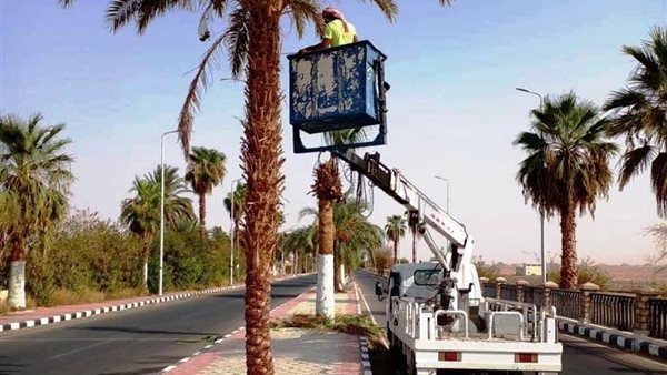 جانب من اعمال النظافة