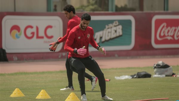 محمد الشناوى 