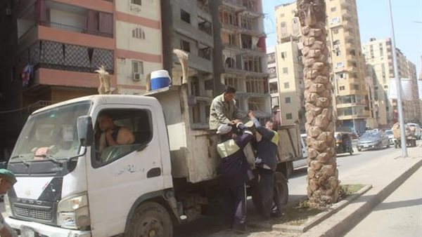 جانب من عمليات النظافة