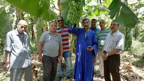 جانب من الحدث