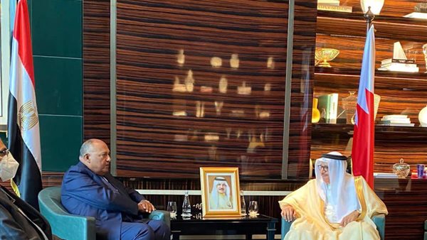 وزيرا خارجية مصر