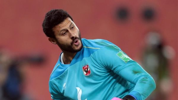 محمد الشناوي 