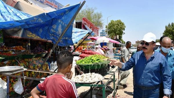 محافظ أسوان خلال