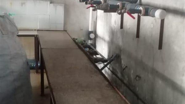 المصنع المضبوط