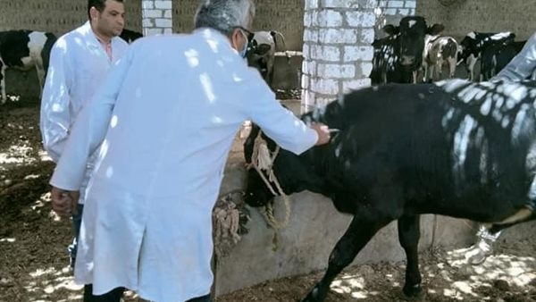 جانب من الحملة