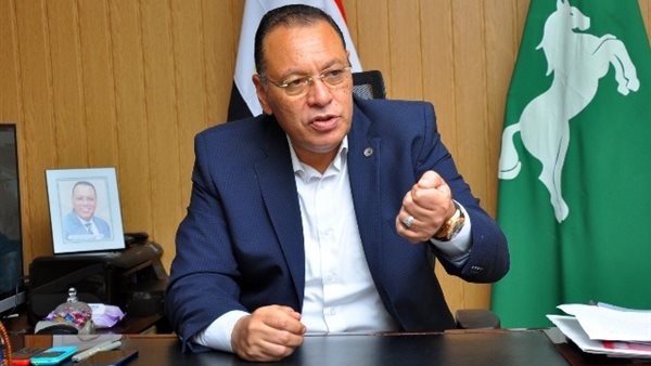 محافظ الشرقية 