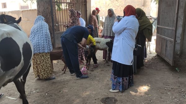 خلال الكشف على الحيوانات