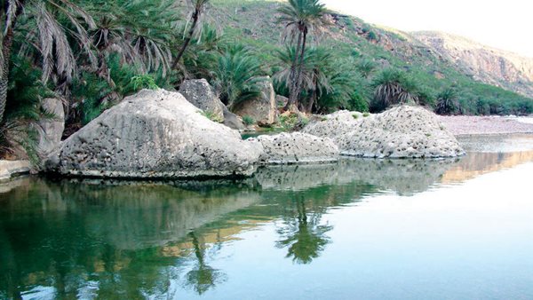 جزيرة سقطرى اليمنية