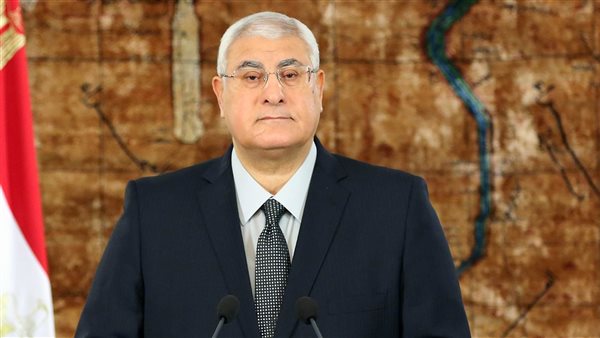 عدلي منصور، رئيس