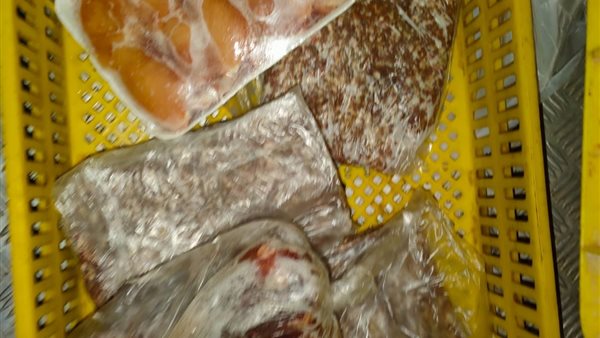 جانب من المضبوطات