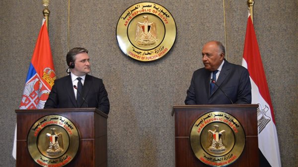 وزيرا خارجية مصر
