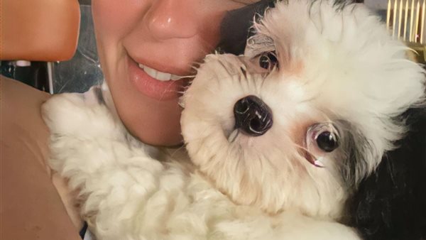 لقاء الخميسي