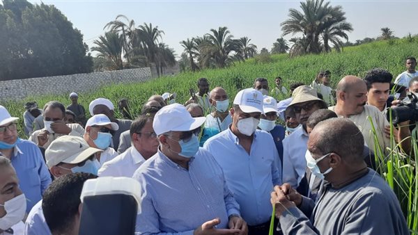 جولة وزير الزراعة