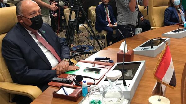 سامح شكري وزير الخارجية