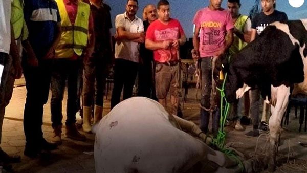 جانب من الحدث