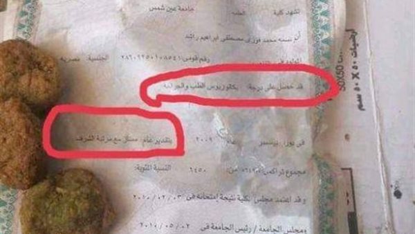 صورة الشهادة 