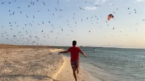 جانب من الحملة الدعائية