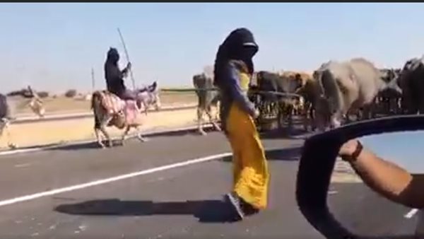 صورة من الحدث