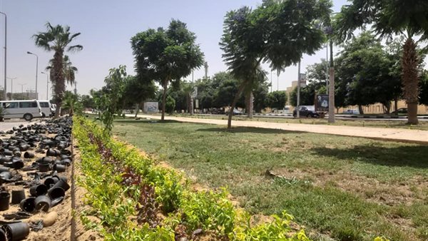 اعمال التجميل 