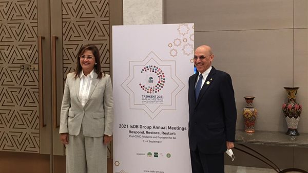 وزيرة التخطيط