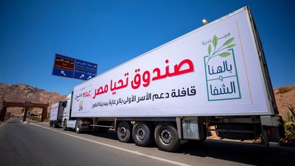 صندوق تحيا مصر 