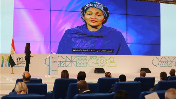 نائب الأمين العام