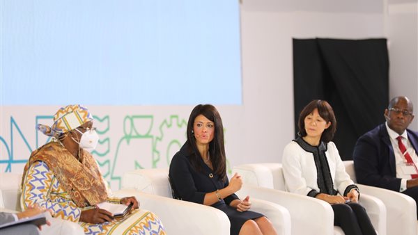 وزيرة التعاون 