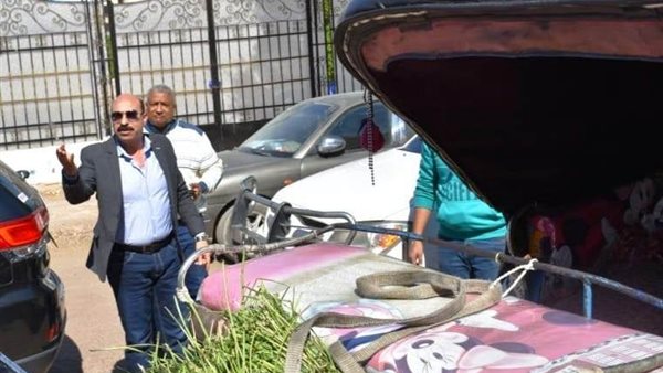 محافظ اسوان خلال