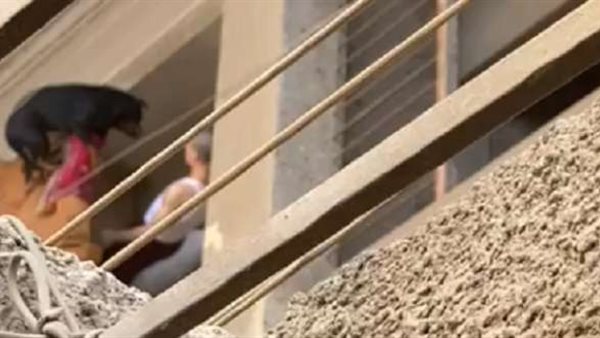 صورة من الفيديو 