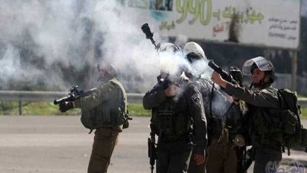 قوات الاحتلال