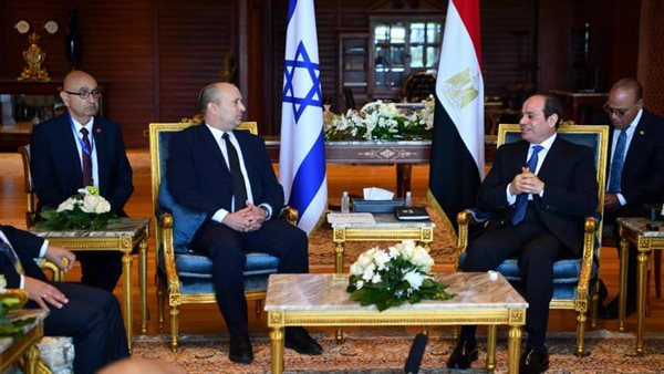 الرئيس السيسي ورئيس