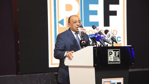 محمود شعراوى وزير