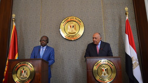 سامح شكري وزير الخارجية