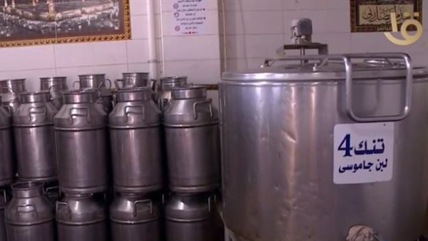 صورة من التقرير 