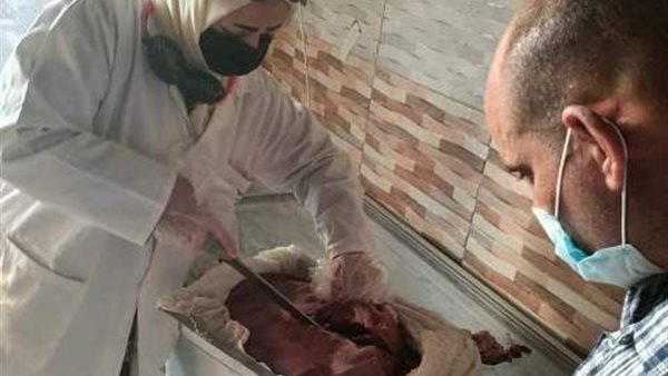 جانب من الحملة